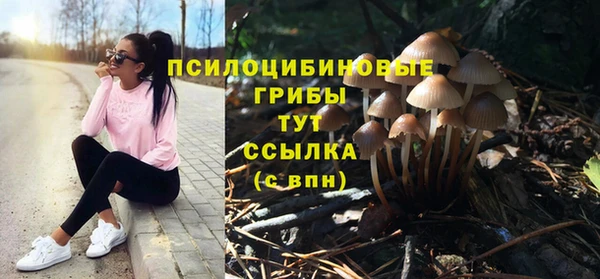 герыч Алзамай