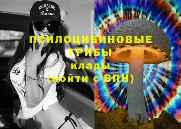 Альфа ПВП Алексеевка